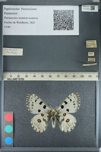 Media type: image;   Entomology 174998